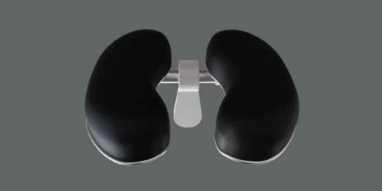Silica Headrest