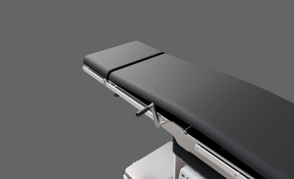 In built Kidney Bridge In built Kidney Bridge