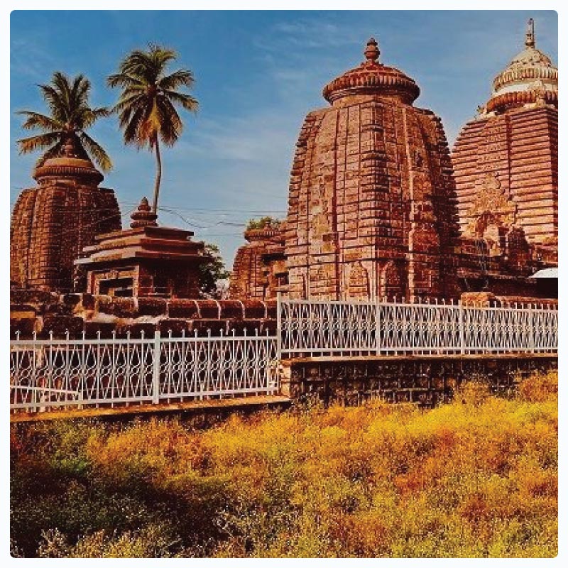 LED Surgical Light & OT Table Manufacturer Serving Kurnool LED Surgical Light & OT Table Manufacturer Serving Kurnool