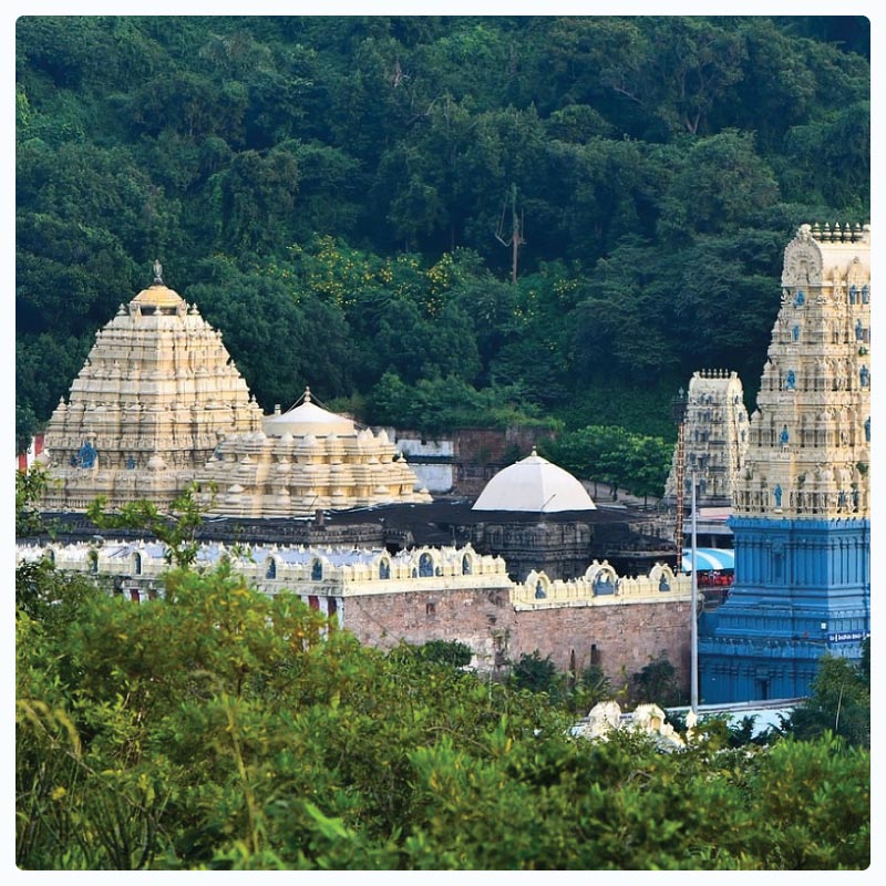 LED Surgical Light & OT Table Manufacturer Serving Visakhapatnam